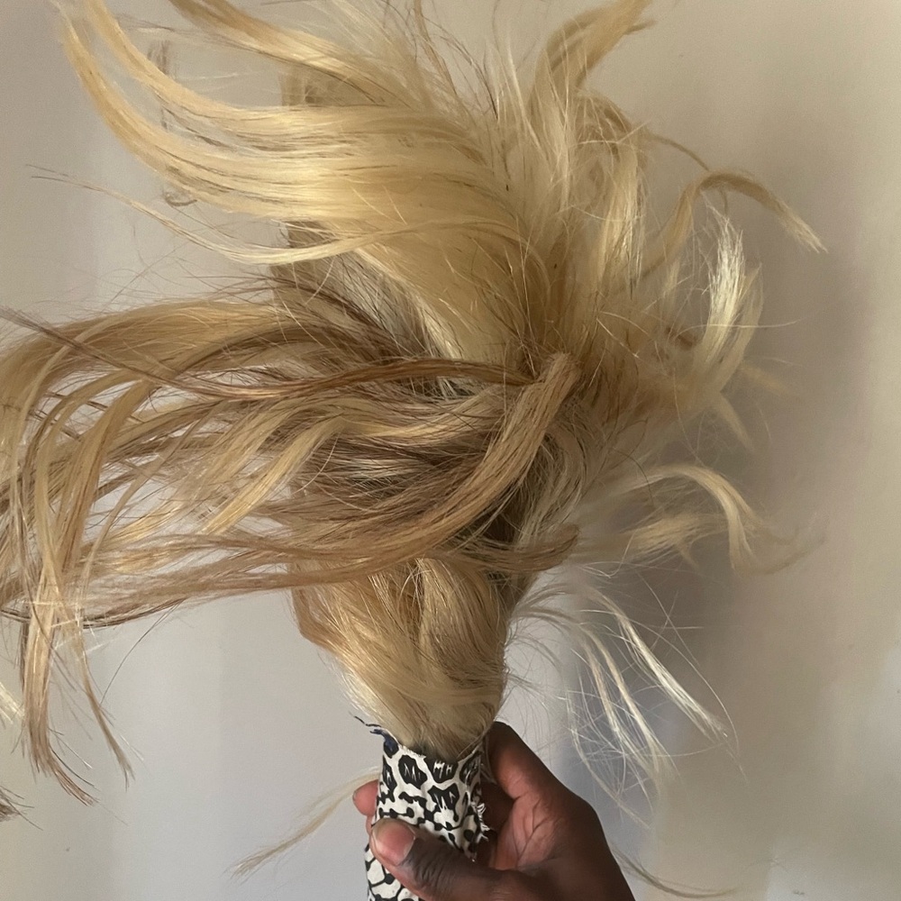 HORSETAIL FOR POSITIVE ENERGIES AND BLESSINGS